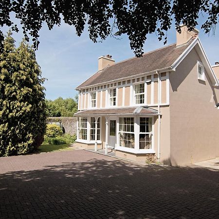 Copper Beech Cottage Henfynyw Upper Kültér fotó